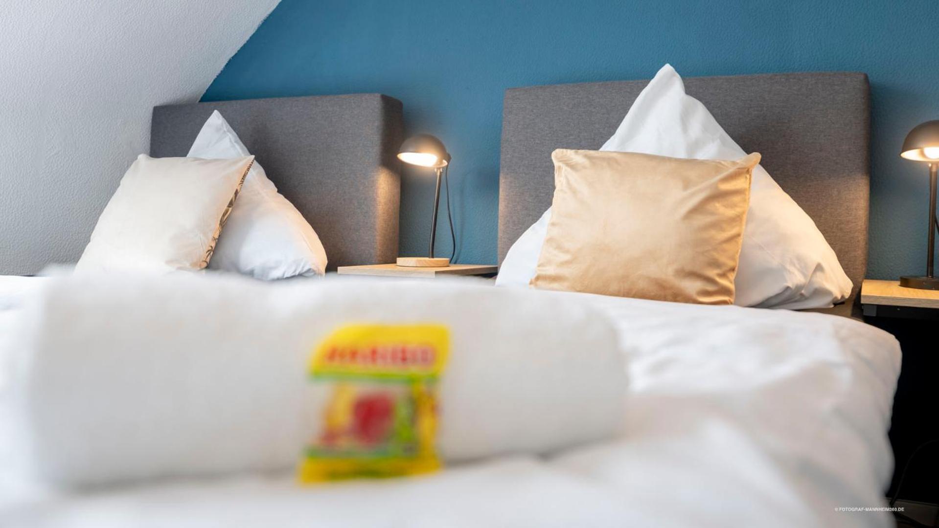 Xxl Design-Appartement Gardendesign Boxspring 8 Pers Zwischen Heidelberg Und Mannheim Edingen-Neckarhausen Eksteriør billede